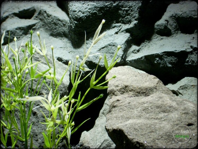 Water Grass Plot - Artificial aquarium plant - parp318 3