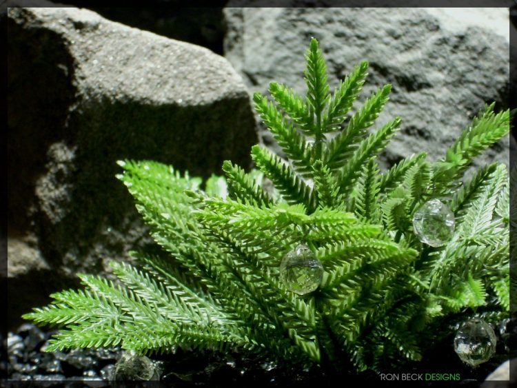 Artificial Coniferous Leaves - Artificial Reptile Plant - 1100 825