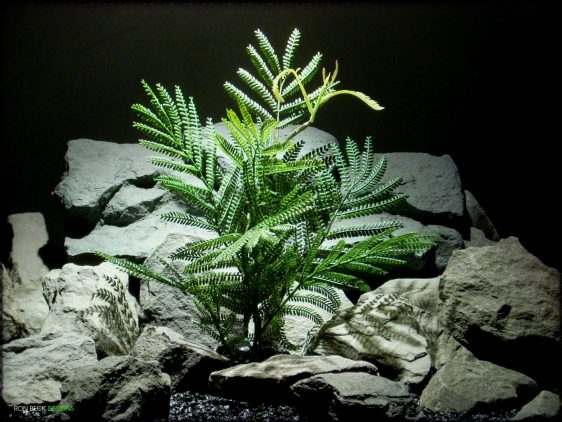 Artificial Mimosa Leaf Spray - Artificial Reptile Plant - Ron Beck Designs prp322