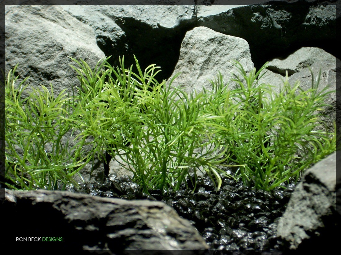 Guppy Grass Plot - Artificial Aquarium Plant - parp321 2