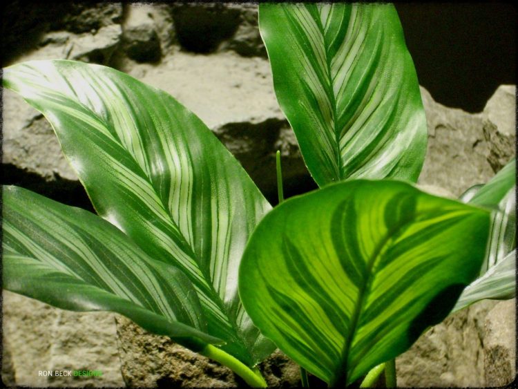 Artificial Chinese Evergreen Leaves - Artificial Silk Reptile Plant srp329 2