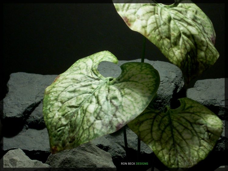 Artificial Coleus Leaves - Artificial Silk Reptile Plant srp325 3