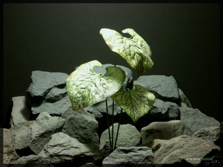 Artificial Coleus Leaves - Artificial Silk Reptile Plant srp325