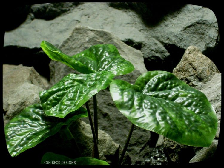 Artificial Peperomia Bush - Artificial Reptile Plant srp328 2