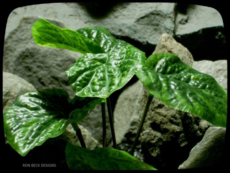 Artificial Peperomia Bush - Artificial Reptile Plant srp328 3