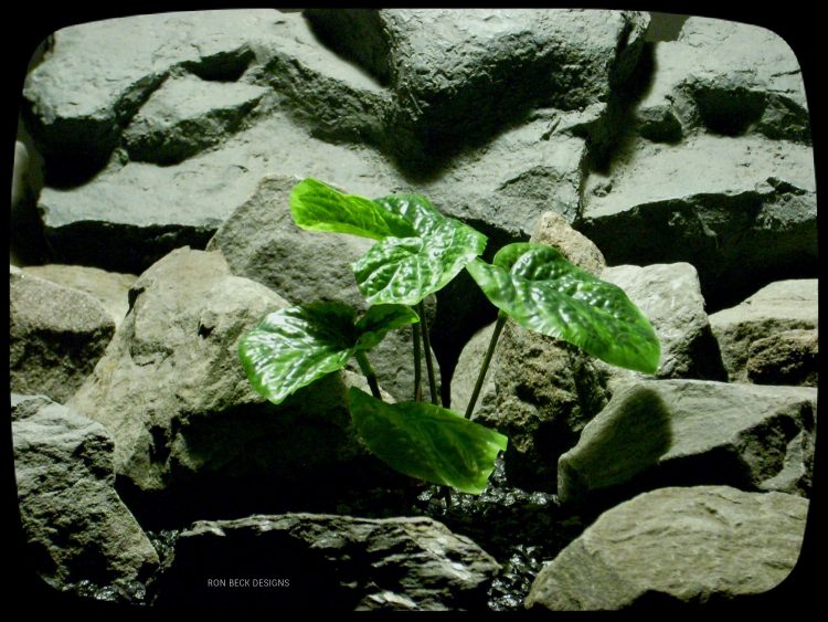 Artificial Peperomia Bush - Artificial Reptile Plant srp328
