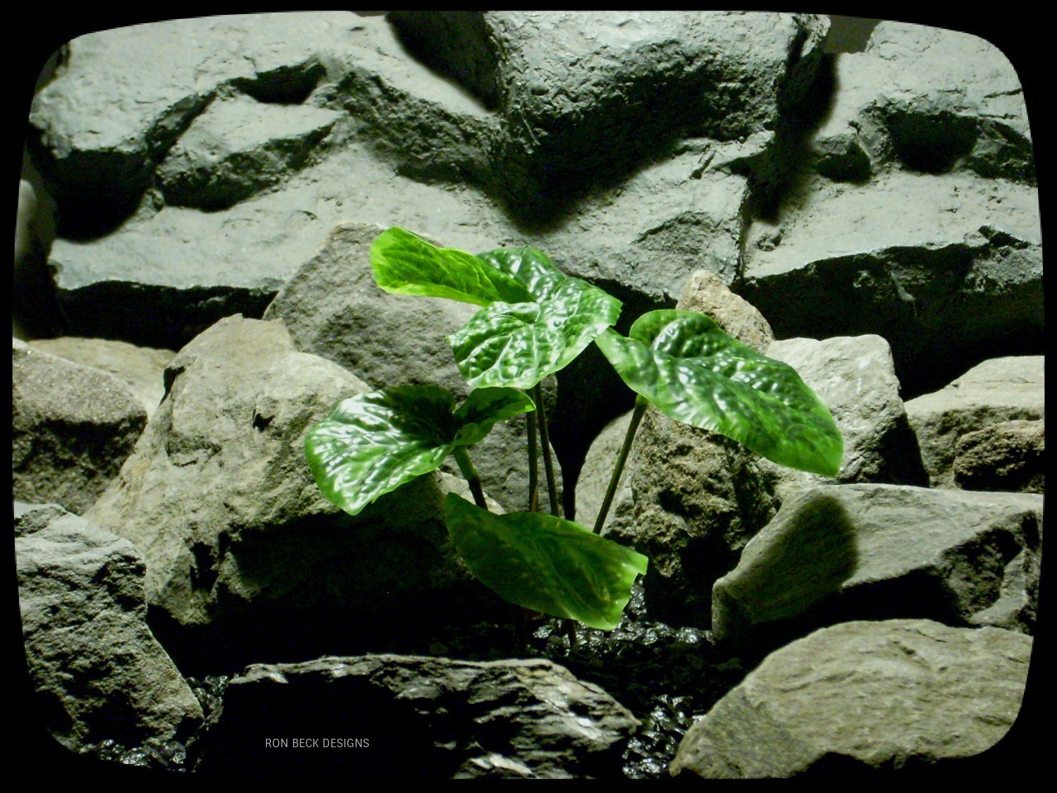 Artificial Peperomia Bush - Artificial Reptile Terrarium Plant srp328
