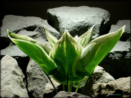 Artificial Silk Variegated Hosta Leaves - Artificial Reptile Plant - srp331 2