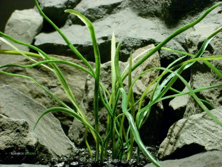 Artificial Aquarium Decor Plant - Mad Grass - Ron Beck Designs parp334 2 (1)