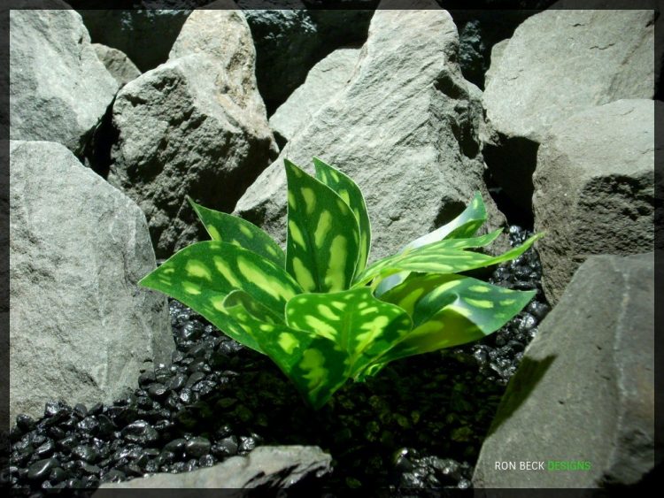 Artificial Chinese Evergreen Aglaonema - Artificial Silk Reptile Habitat Plant - srp339 2
