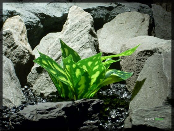 Artificial Chinese Evergreen Aglaonema - Artificial Silk Reptile Habitat Plant - srp339