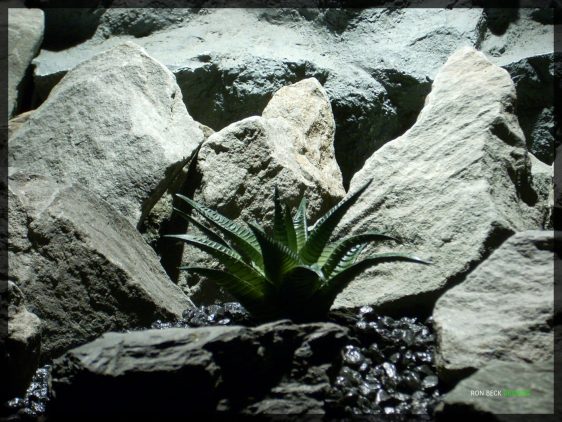 Artificial Lace Aloe Succulent - Artificial Reptile Desert Decor Plant - prs338