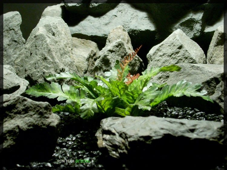 Artificial Silk Reptile Habitat Plant - Silk Bracken Fern srp343 2