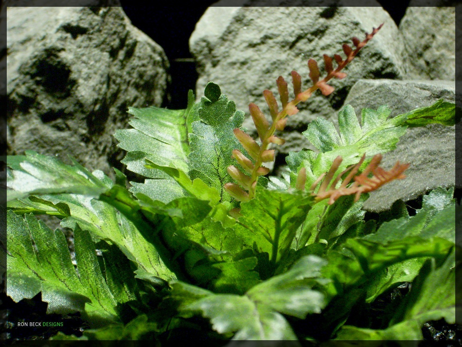 Artificial Silk Reptile Habitat Plant - Silk Bracken Fern srp343 3
