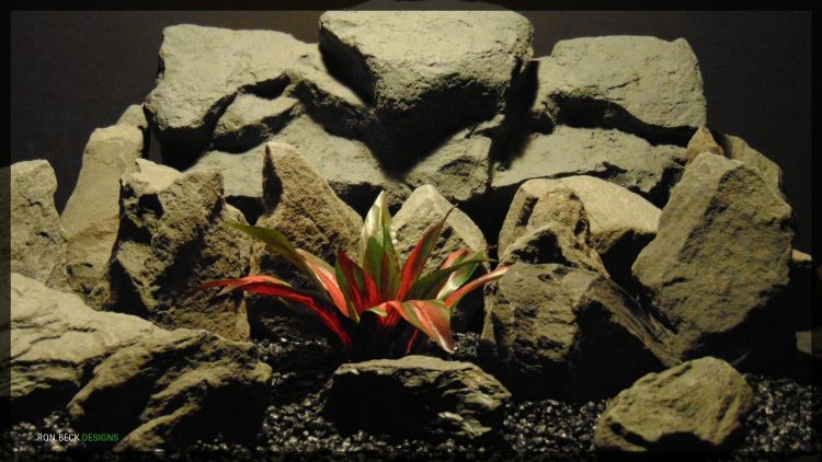 Artificial Dracaena Red Dwarf Plant - Silk Reptile Habitat Plant - srp353