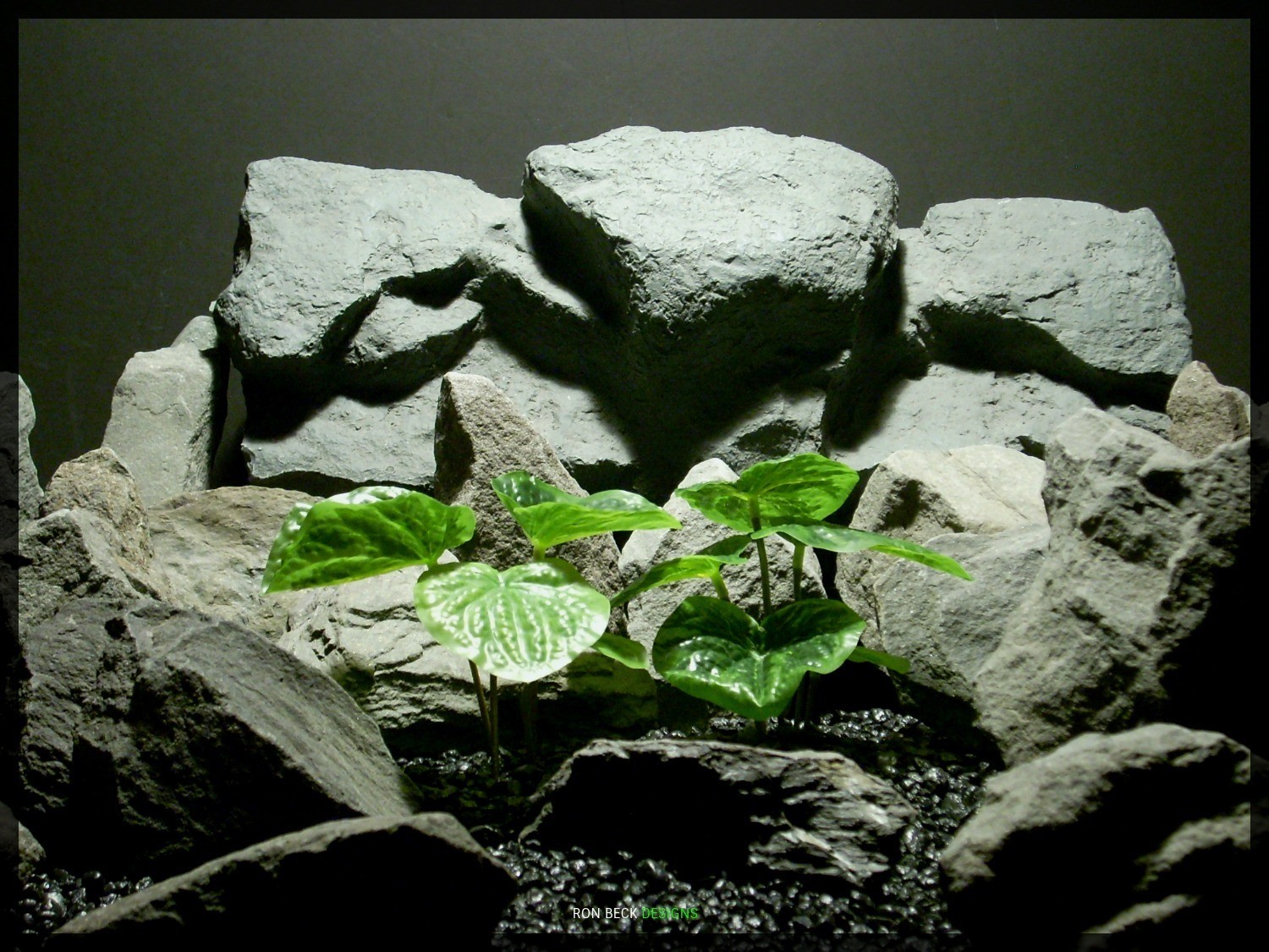 Artificial Peperomia Plants - Artificial Silk Reptile Habitat Plants - PLOT srp348