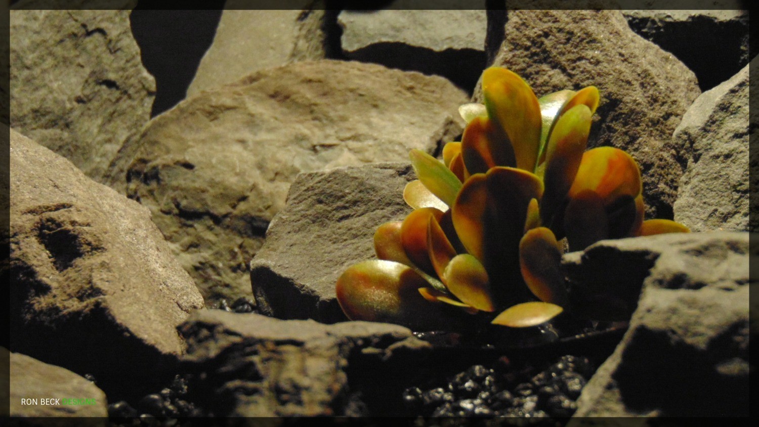 Artificial Schefflera - Artificial Reptile Habitat Plant - prp351