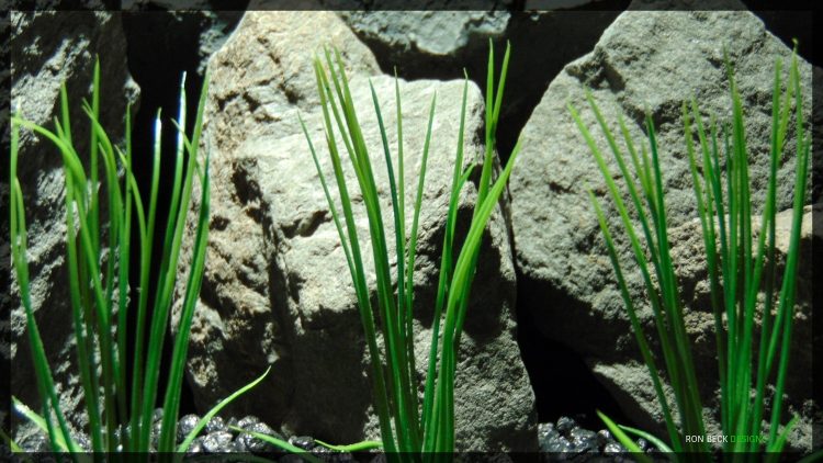 Artificial Aquarium Plants - Royal Grass Plot - parp359 3