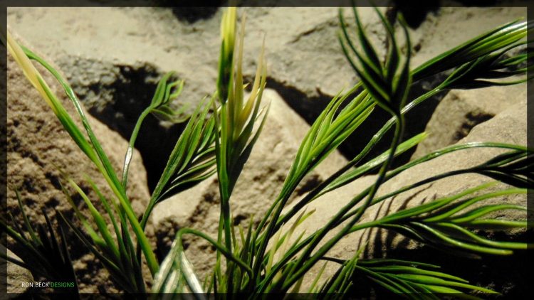 Artificial Mermaid Grass - Artificial Aquarium Plant - parp356 3