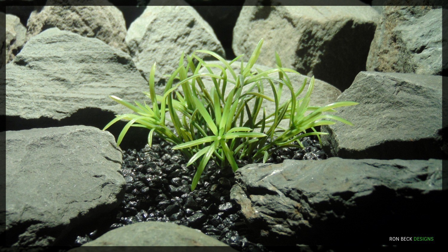 Artificial Variegated Matai Bush - Artificial Aquarium Plant - Ron Beck Designs PARP357