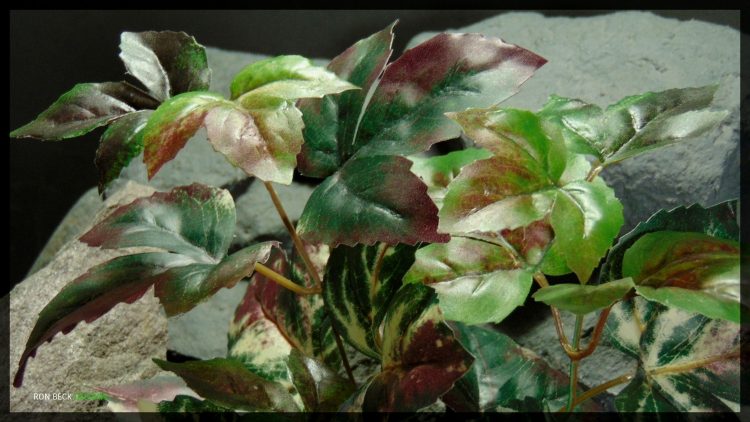 Artificial Ornamental Maple - Silk Reptile Habitat Plant - SRP361 2