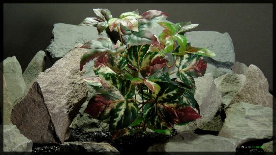 Artificial Ornamental Maple - Silk Reptile Habitat Plant - SRP361