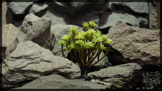 Artificial Sedum John Creech - Artificial Reptile Habitat Plant Succulent - psc364