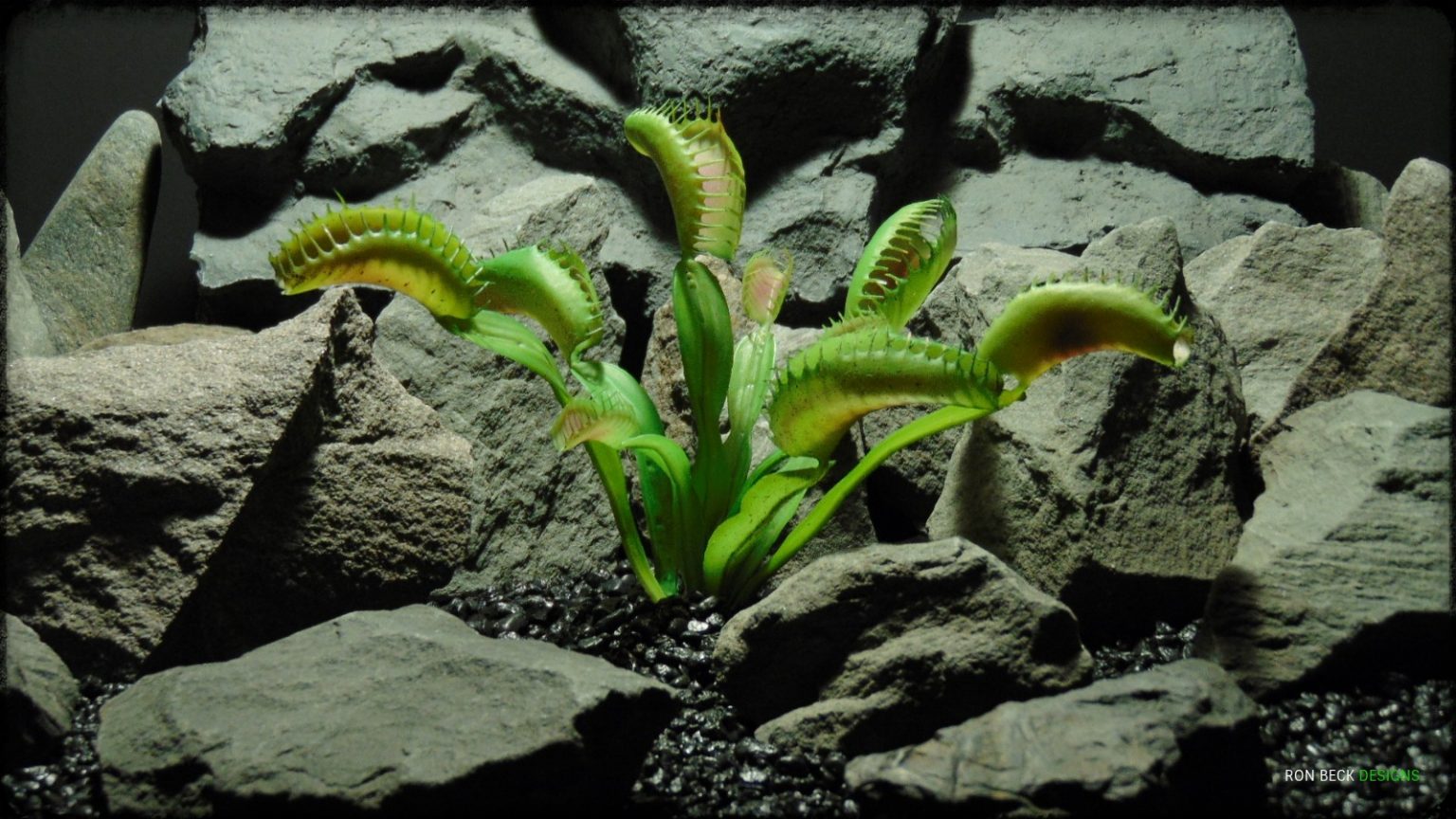 Artificial Venus  Flytrap  Artificial Reptile Habitat  