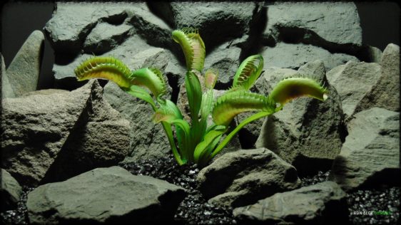 Artificial Venus Flytrap - Artificial Reptile Habitat Plant - prp363