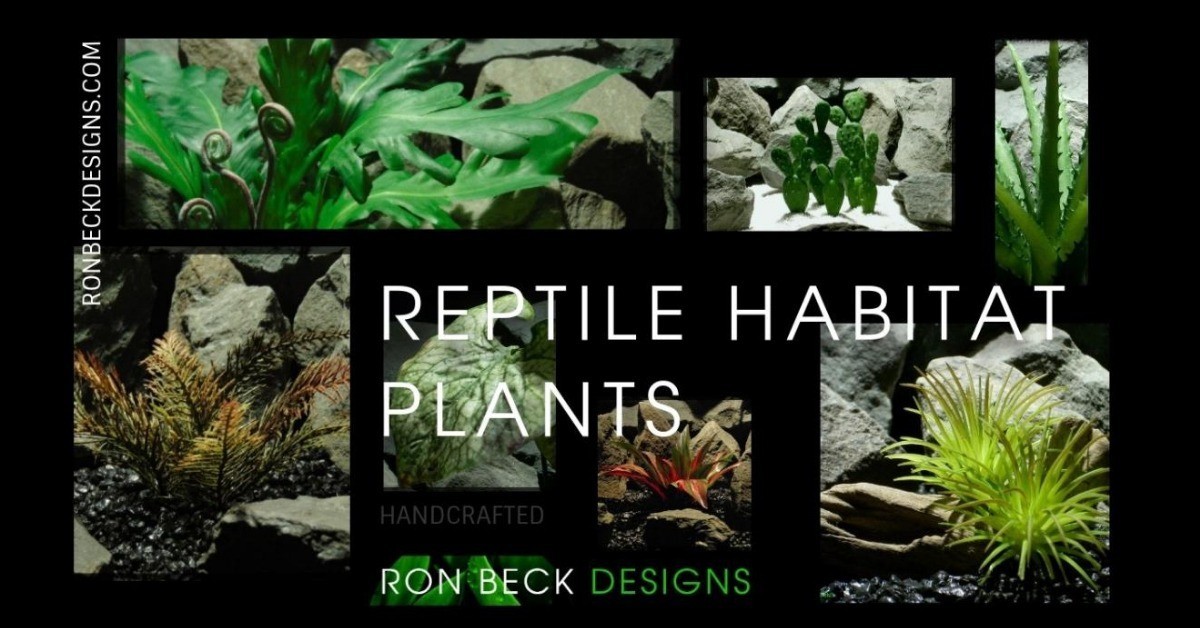 Protea Plant - Ron Beck Designs - Artificial Reptile Habitat Plants - Reptile Tank Decor - shareable 1200 628 2019