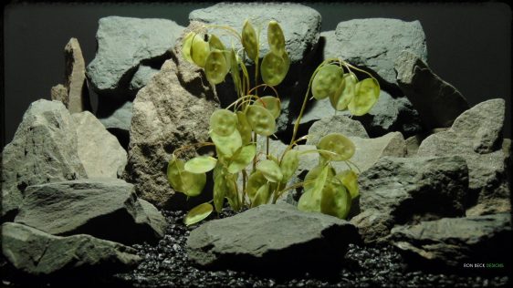 Artificial Chinese Money Plant Green - Reptile Habitat Plant - prp367