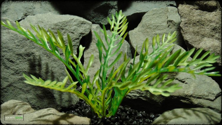 Artificial Jurassic Fern - Artificial Reptile Habitat Plant - prp368 2