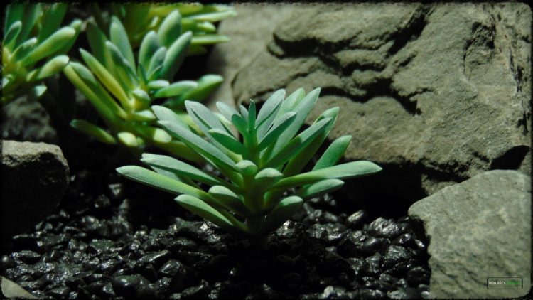 Artificial Leatherpetal Succulent - Reptile Desert Habitat - prp370 3