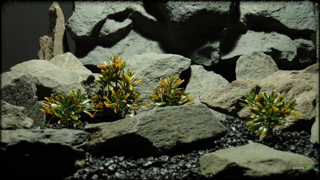Artificial Matai - Woodland - Reptile Habitat Plant - prp365