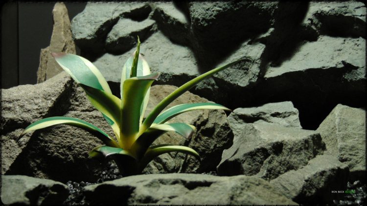 Artificial Agave Snow Glow Succulent - Reptile Desert Habitat Decor - PRP376 2