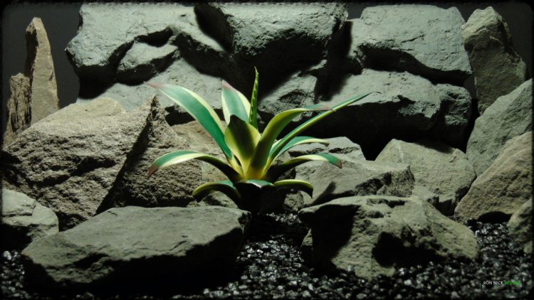 Artificial Agave Snow Glow Succulent - Reptile Desert Habitat Decor - PRP376
