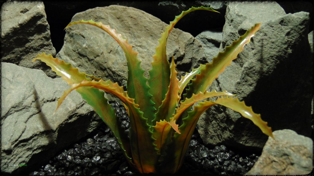 Artificial Aloe vaombe (Malagasy Tree Aloe) - Artificial Reptile Desert Decor Plant PRP37 2