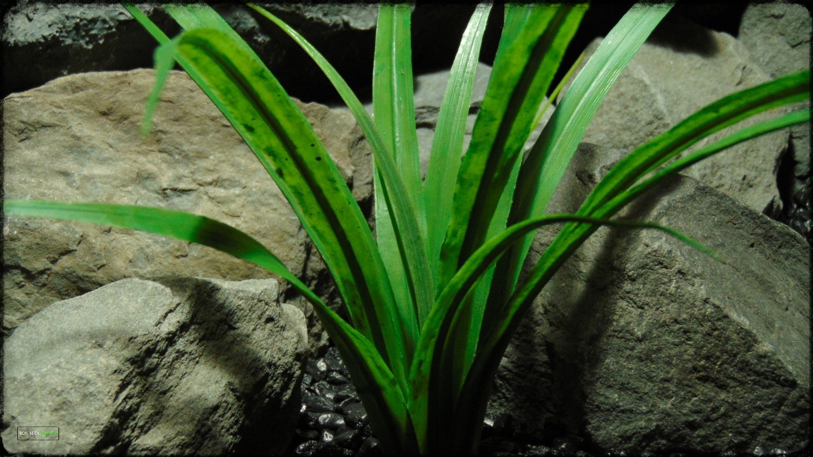 Artificial Dracaena - Artificial Reptile Terrarium Plant - prp379 3