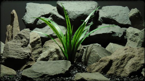 Artificial Dracaena - Artificial Reptile Terrarium Plant - prp379