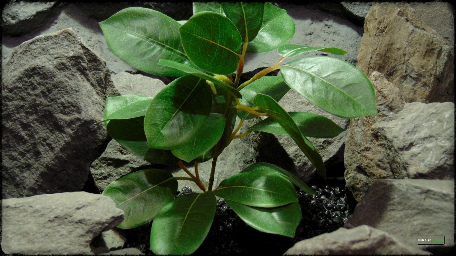 Artificial Lemon Leaves Plant - Silk Reptile Habitat Plant - srp373 2