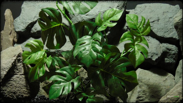 Artificial Monstera Plant - Artificial Silk Reptile Terrarium Plant - SRP378 2