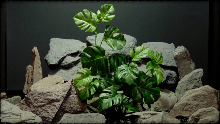 Artificial Monstera Plant - Artificial Silk Reptile Terrarium Plant - SRP378