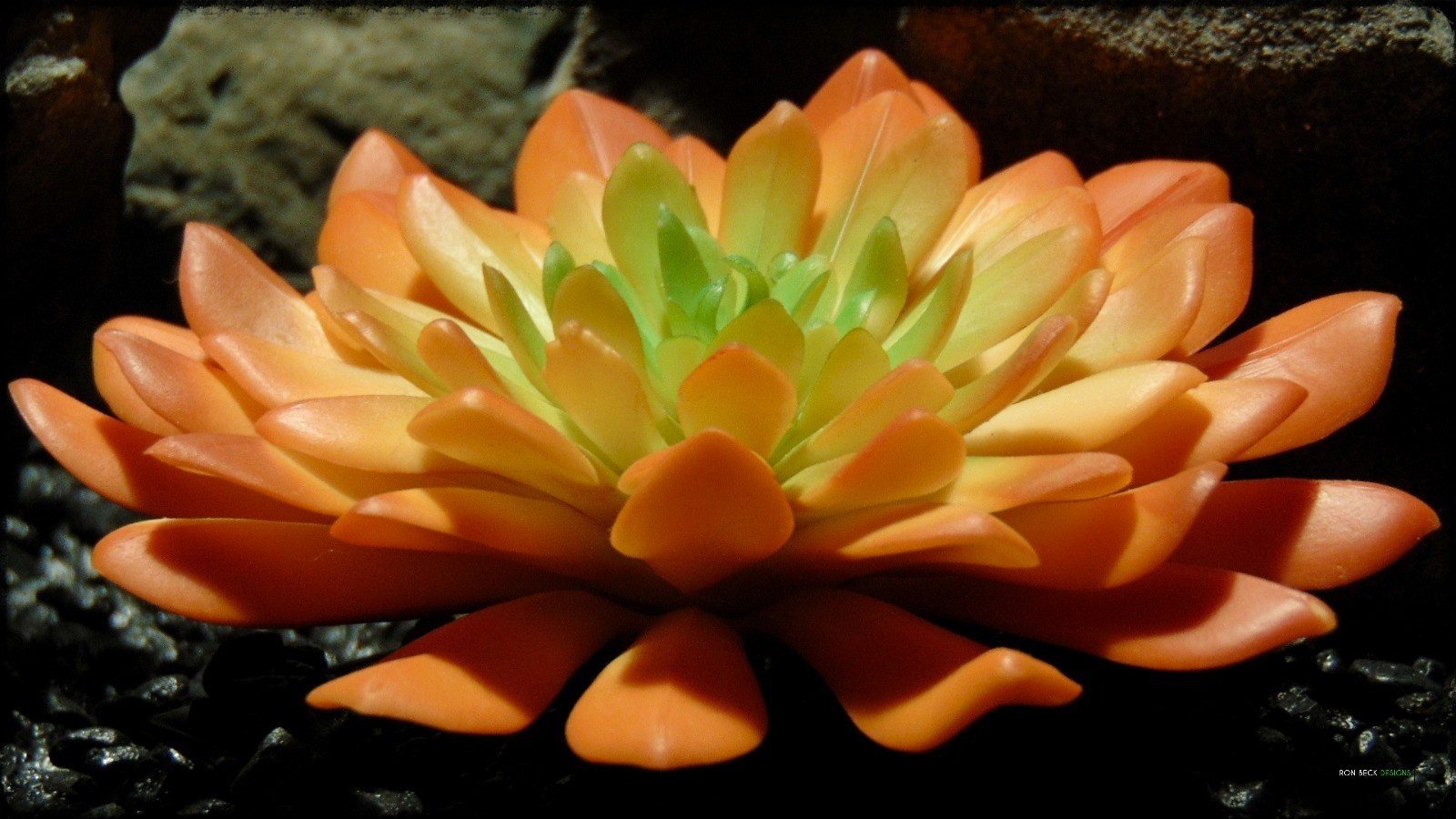 Artificial Orange Succulent (L) - Artificial Reptile Desert Decor - prp375 3