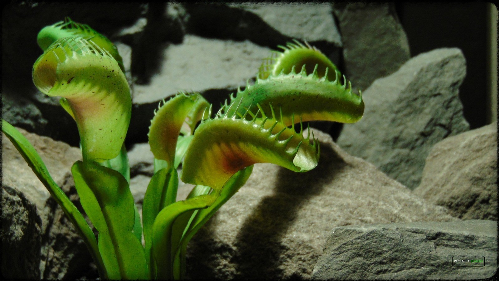 Artificial Venus Flytrap - Artificial Reptile Decor Plant - prp374 3