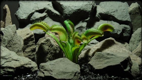 Artificial Venus Flytrap - Artificial Reptile Decor Plant - prp374