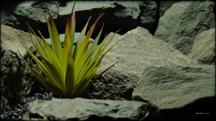 Artificial Foxtail Agave - Artificial Reptile Desert Decor Succulent - prp380 2