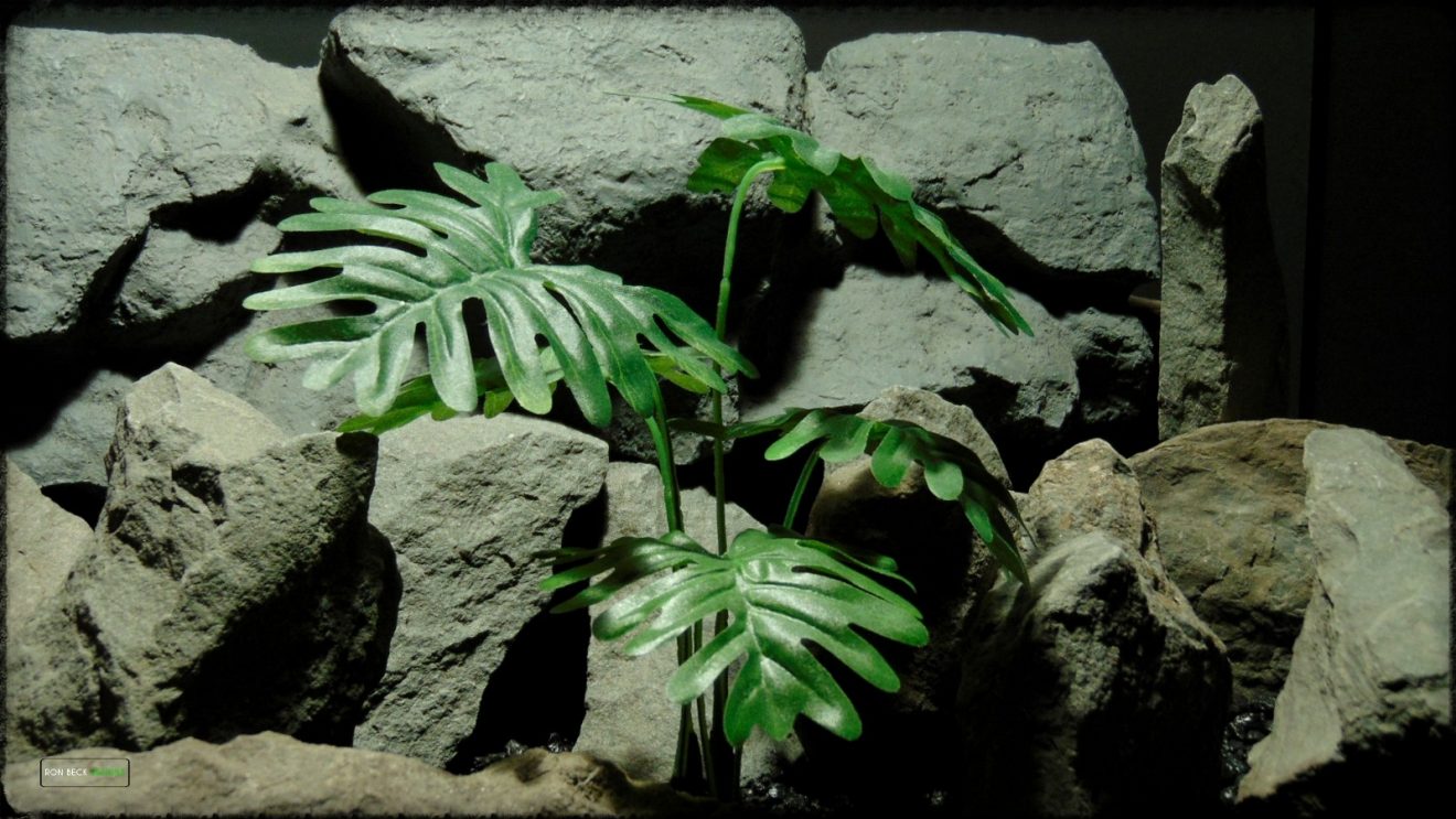 Artificial Philodendron Bipennifolium Artificial Silk Reptile