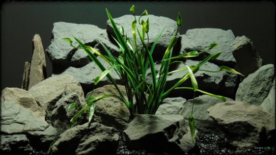 Artificial Chain Sword Grass - Reptile Habitat Plant - PRP384
