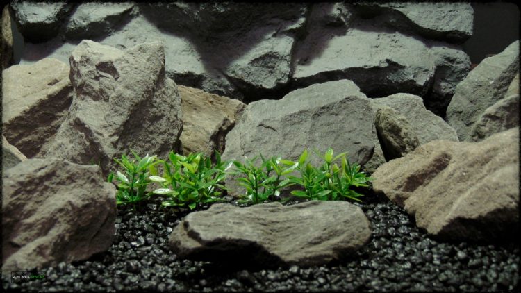 Artificial Dwarf Mini Leaves Plot Plastic Aquarium Plant - parp388