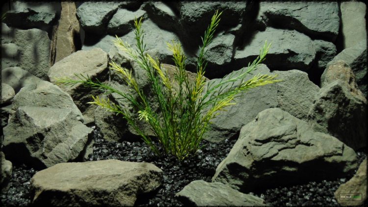 Artificial Wheat Grass - Artificial Aquarium Plant - parp389 2